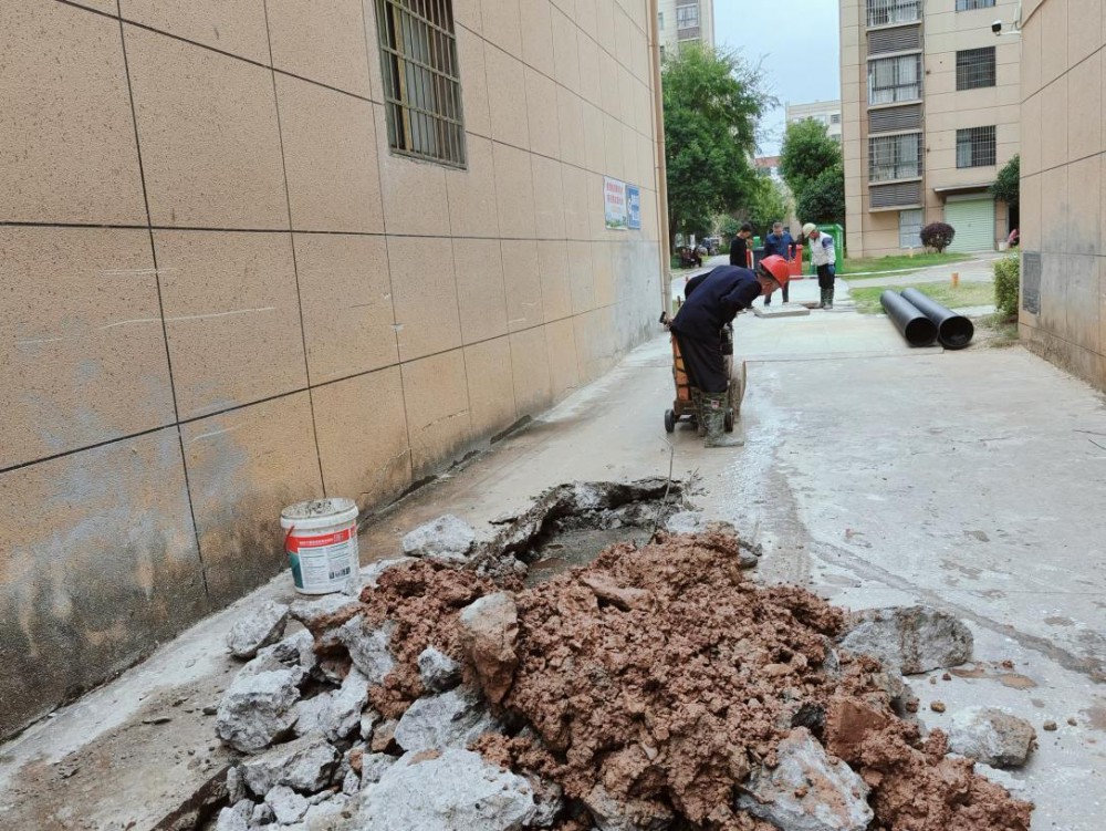 圖片2.png 圖片2.png