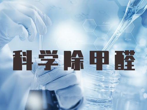 全面分析各種除甲醛方法的優缺點