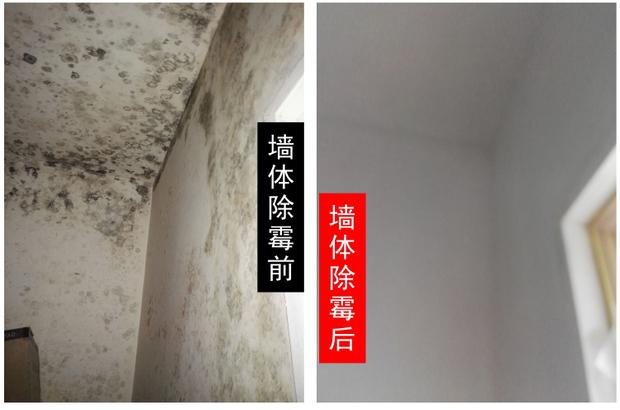 廣州防霉公司康之源環保提供家庭辦公室防霉抗菌消毒環境消殺