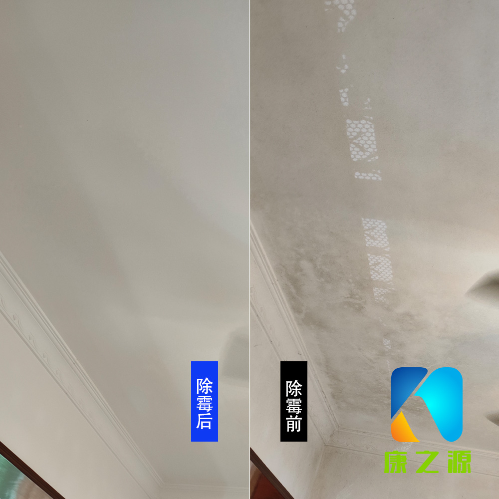 佛山專業防霉除霉公司墻面除霉家具防霉除霉